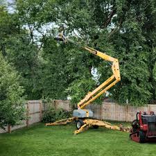 Trusted Port Ewen, NY Tree Services Experts